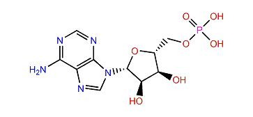 Adenosine 5'-monophosphate